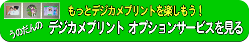 デジタルカメラプリント、写真現像オプションサービス一覧