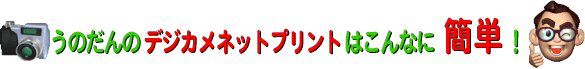 デジカメプリント注文はこんなにお徳で簡単！