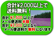 ネットでデジカメプリントを\1,500以上でメール便半額！\2,000以上のネットプリントご注文で無料に！