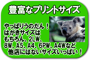 自慢のデジタルカメラプリントは自慢のサイズでプリントしよう！