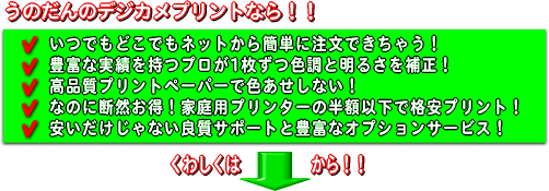 デジカメプリントなら『うのだん』！ただのデジタルカメラプリントの激安店とはわけが違います！